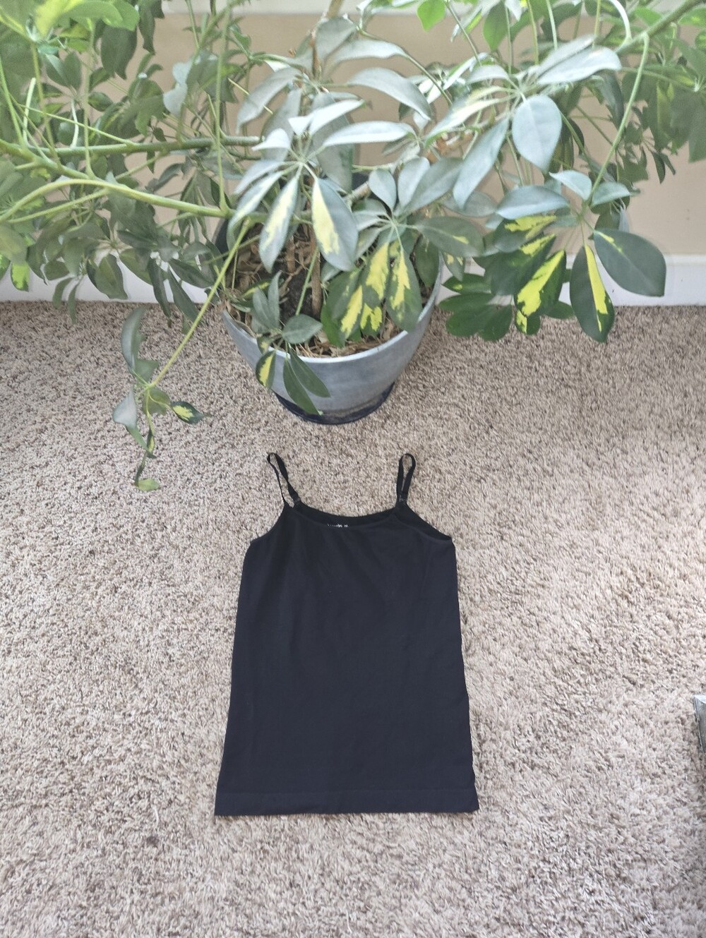 shapermint Essentials all day every day Scoop Neck cami Nwot
